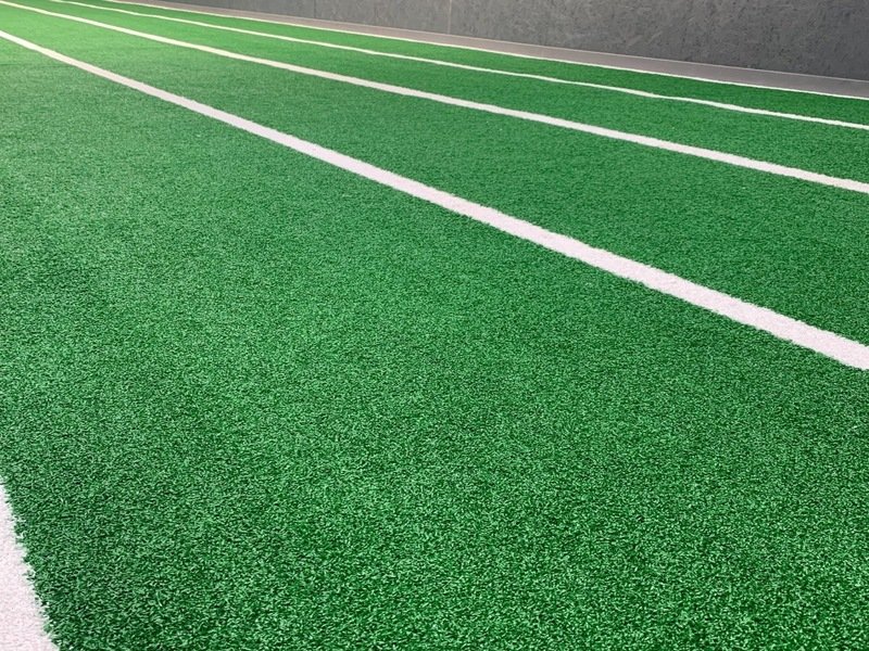 Boutique de remise en forme dotée d'un gazon artistique personnalisé avec un logo de marque complexe